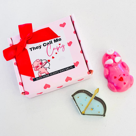 ‘They Call Me Cu- Pig’ Valentines Box