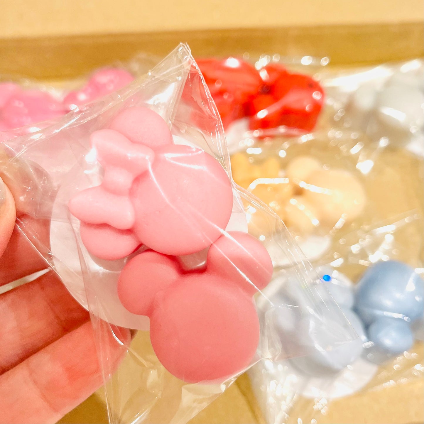 Mr & Mrs Mouse Sample Box